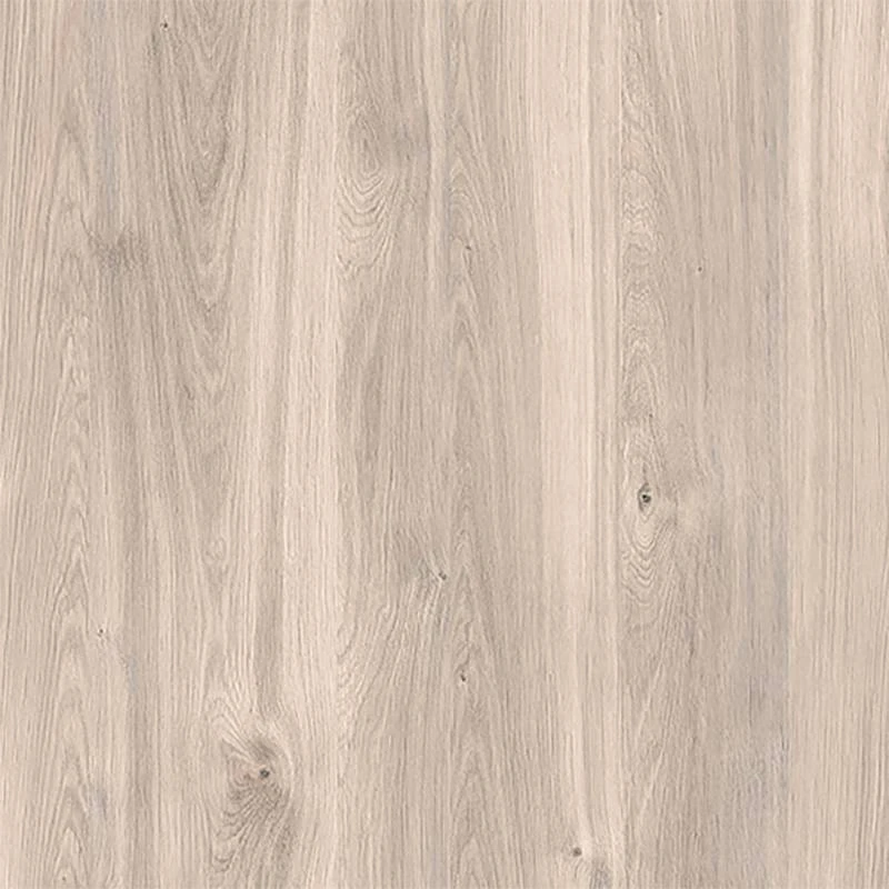 Vitrine Cantoria â Image 13